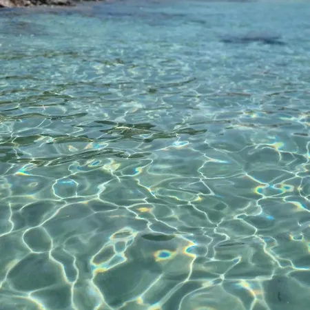 Raf's House Pensionat 3*