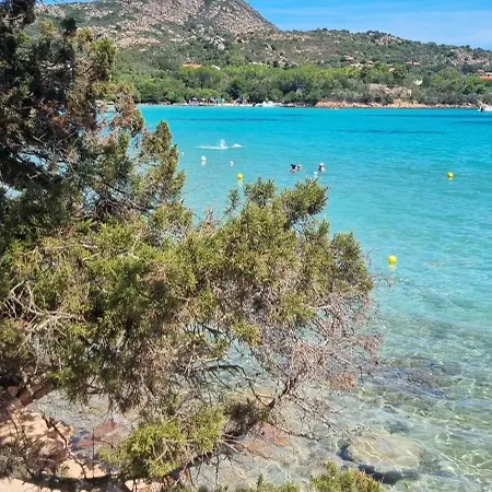 Pensión Raf's House 3*