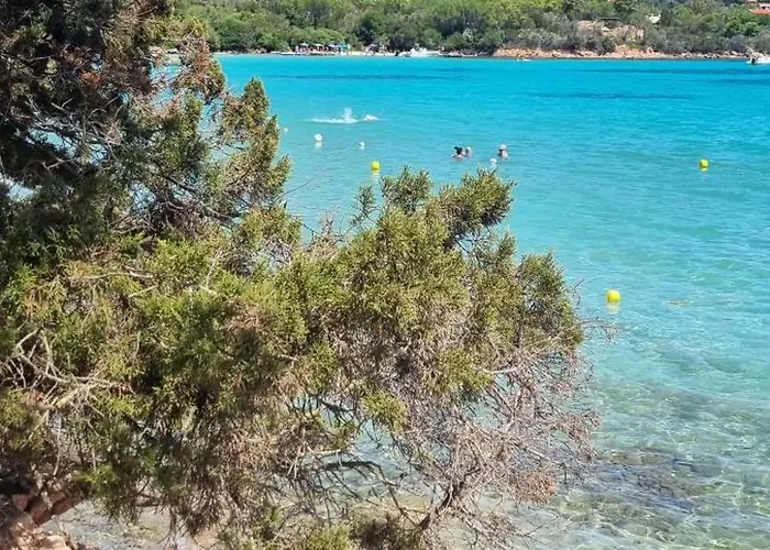 Pensionat Raf's House 3*